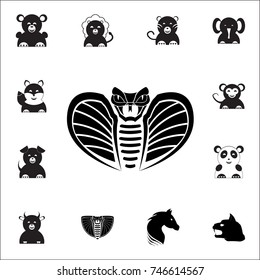 Cobra head icon. Set of animal icons. You can use in web or app icons on white background