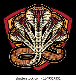 darknet cobra hyrda