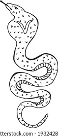 cobra ilustration hand drawing vector 