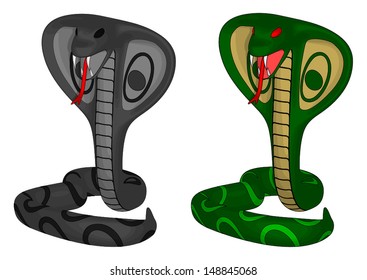 Cobra isolated on a white background.