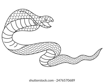 Cobra Line Drawing Illustration Material
