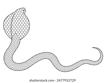 Cobra Line Drawing Illustration Material
