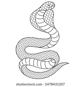 Cobra Line Drawing Illustration Material
