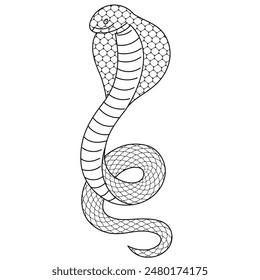 Cobra Line Drawing Illustration Material

