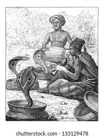 Cobra or Naja sp., showing Snake Charmers, vintage engraved illustration. Dictionary of Words and Things - Larive and Fleury - 1895