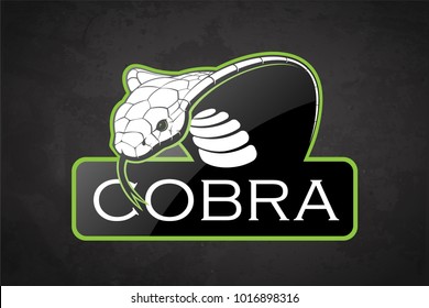 Cobra on a dark background. Vector cobra with room for text.