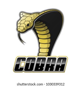 Cobra on a white background. Vector illustration