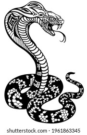 cobra poisonous snake in a defensive position. Attacking posture. Black and white tattoo style vector illustration