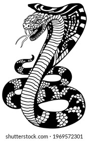 cobra poisonous snake in a defensive position. Attacking posture. Black and white tattoo style vector illustration