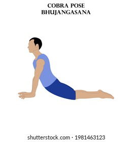 Cobra pose yoga workout. Bhujangasana. Man doing yoga illustration on the white background. Vector illustration