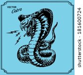 Cobra Snake