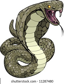 A Cobra snake about to strike illustration