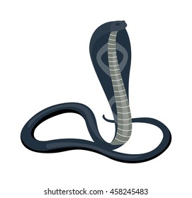 Cobra Snake coiled and ready to showing danger reptile animal wildlife cartoon vector