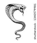 Cobra snake hand drawn illustration. Tattoo vintage print. Hand drawn print. Tattoo design. Sketch illustration.