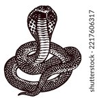Cobra snake - hand drawn illustration
