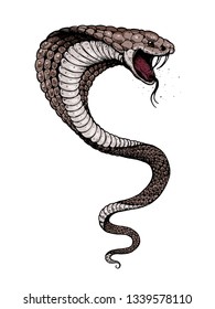 Cobra snake hand drawn illustration. Tattoo vintage print. Hand drawn print. Tattoo design.