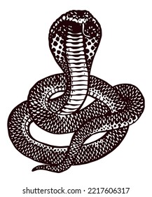 Cobra snake - hand drawn illustration