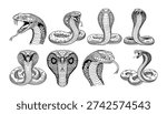 Cobra Snake Line Art Vector Illustration	
