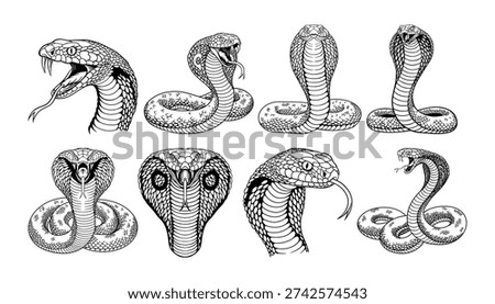 Cobra Snake Line Art Vector Illustration	 Stock photo © 