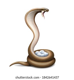 Cobra snake nest realistic composition with isolated image of snake twisted round eggs on blank background vector illustration