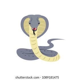 Cobra snake on white background. Vector illustration.