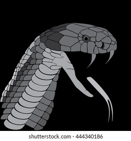 Cobra snake with open mouth and extended tongue on a black background. Awesome sight that causes fear and warns of the danger. Teeth bite is deadly. Vector