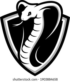 Cobra Snake in the Shield (Shield Shape Logo Design)