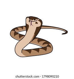 Cobra snake vector illustration design, suitable for illustrations, posters, posters, stickers