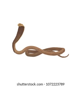Cobra snake wild african animal vector Illustration on a white background