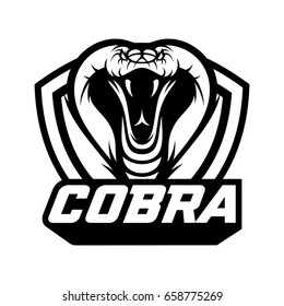 cobra snake wild animal head mascot vector illustration logo