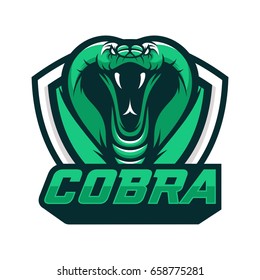 Cobra Snake Wild Animal Head Mascot Vector Illustration Logo