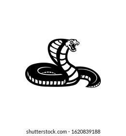 cobra vector illustration. isolated snake symbol