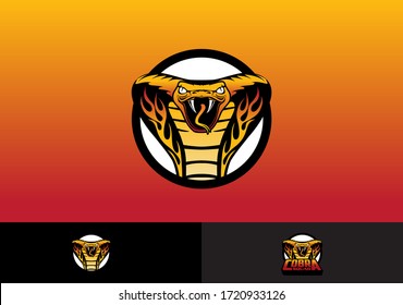 Cobra venom snake head with flame logo esports automotive template vector.