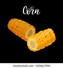 Cobs of fresh corn. Carbohydrates for healthy nutrition. Vector hand drawn flat isolated illustration with dry brush texture and hand written lettering for your design.