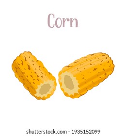 Cobs of fresh corn. Carbohydrates for healthy nutrition. Vector hand drawn flat isolated illustration with dry brush texture and hand written lettering for your design.