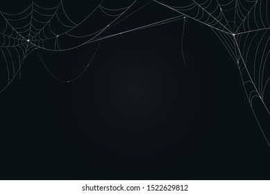 cobweb background. The scary of the halloween symbol Isolated on dark background