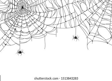 Cobweb background. Scary spider web with spooky spider, creepy arthropod halloween decor, net texture tattoo design vector isolated pattern template