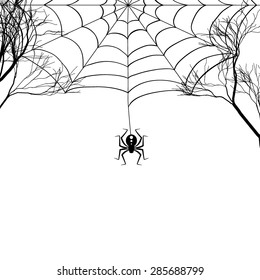 Cobweb between tree branches and a small spider on a white background. Black-and-white drawing. Vector illustration.