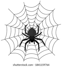 Cobweb with a black spider. Vector image, eps 10