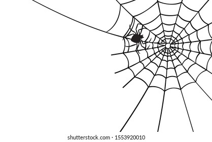 Cobweb for Halloween design, isolated on white background. Vector illustration.
