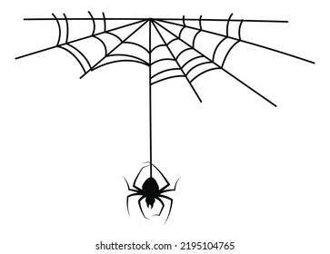Cobweb. Halloween monochrome spiderweb and dangerous spider, black silhouette isolated object, autumn horror holiday decor, spooky scary party decoration, vector sketch illustration