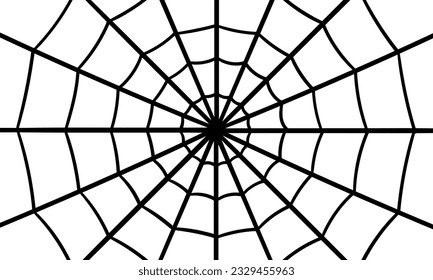 cobweb hand drawn illustration on white background