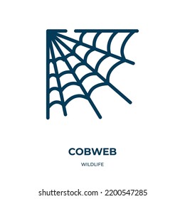 Cobweb icon. Linear vector illustration from wildlife collection. Outline cobweb icon vector. Thin line symbol for use on web and mobile apps, logo, print media.