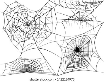 Cobweb isolated on white background. Spiders web vector illustration. Halloween concept