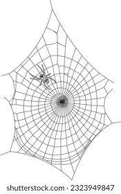 Cobweb, isolated on white background. Spiderweb for Halloween design. Spider web elements, spooky, horror halloween decor. Hand drawn silhouette. Line Art, Vector illustration.