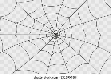 Cobweb isolated on white, transparent background. Cobweb elements, creepy, scary, horror halloween decor. Vector eps illustration Spider happy halloween party fun funny spooky logo