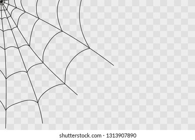 Cobweb isolated on white, transparent background. Cobweb elements, creepy, scary, horror halloween decor. Vector eps illustration Spider happy halloween party fun funny spooky logo