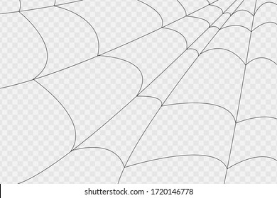 Cobweb isolated on white, transparent background. Cobweb elements, creepy, scary, horror decor. Vector eps illustration Spider happy  party fun funny spooky logo