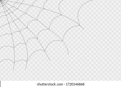 Cobweb isolated on white, transparent background. Cobweb elements, creepy, scary, horror decor. Vector eps illustration Spider happy party fun funny spooky logo