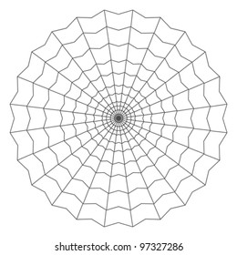 cobweb isolated on white vector illustration